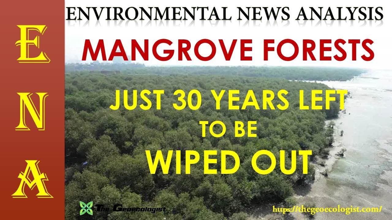 Environmental News Analysis (ENA)-17 | MANGROVE FORESTS ARE DYING