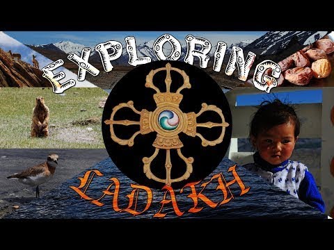 Field Work in Geography | Exploring Ladakh : A Geoecological Perspective