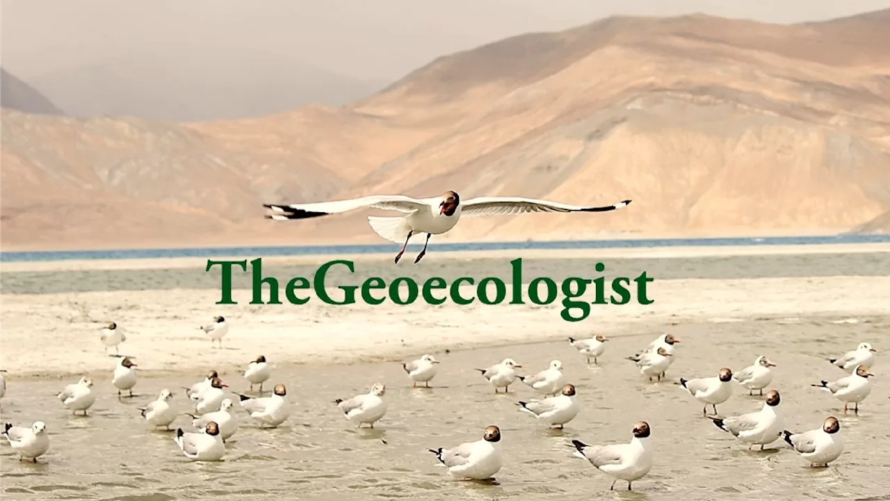 Sunday Live Session with TheGeoecologist: Dr. Krishnanand