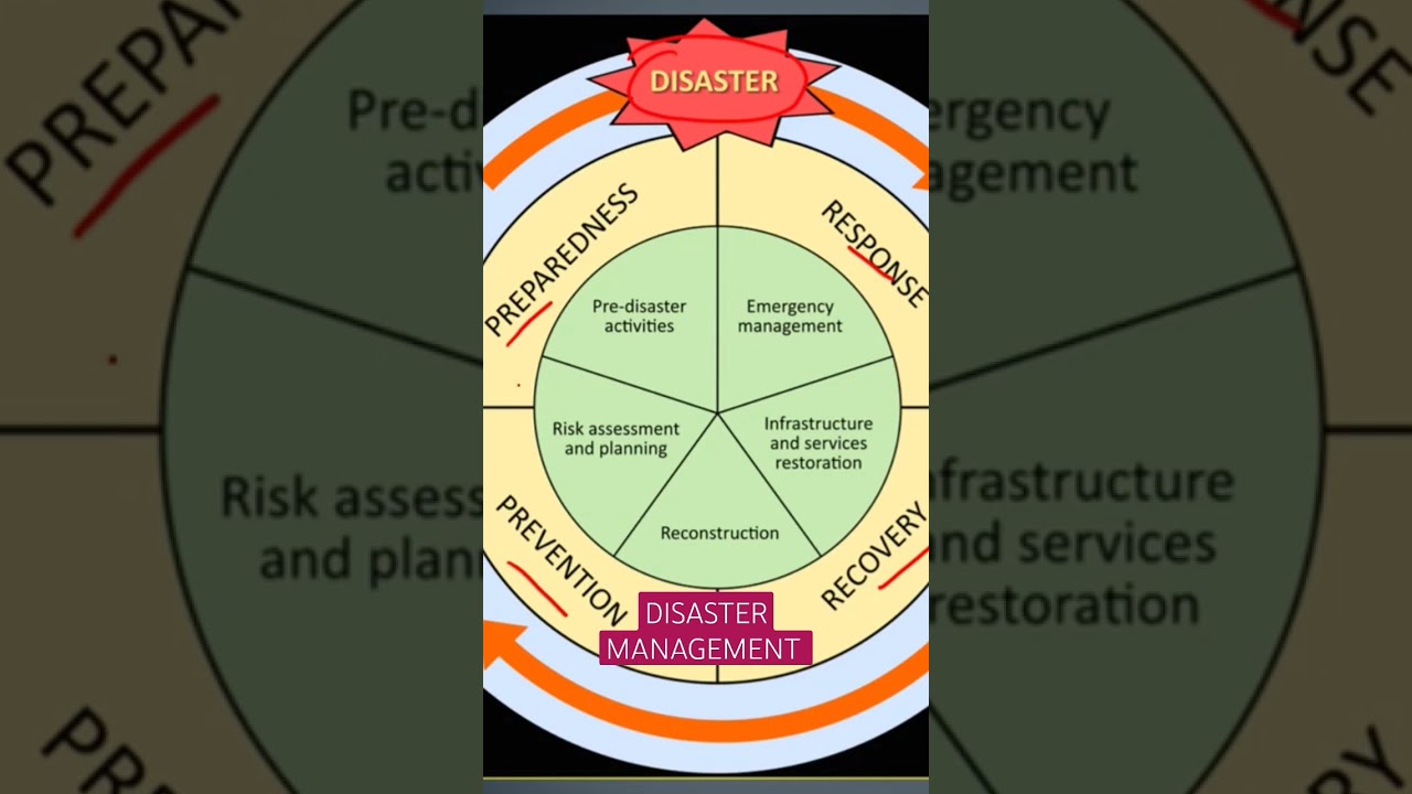 Disaster Management Framework- TheGeoecologist #shorts