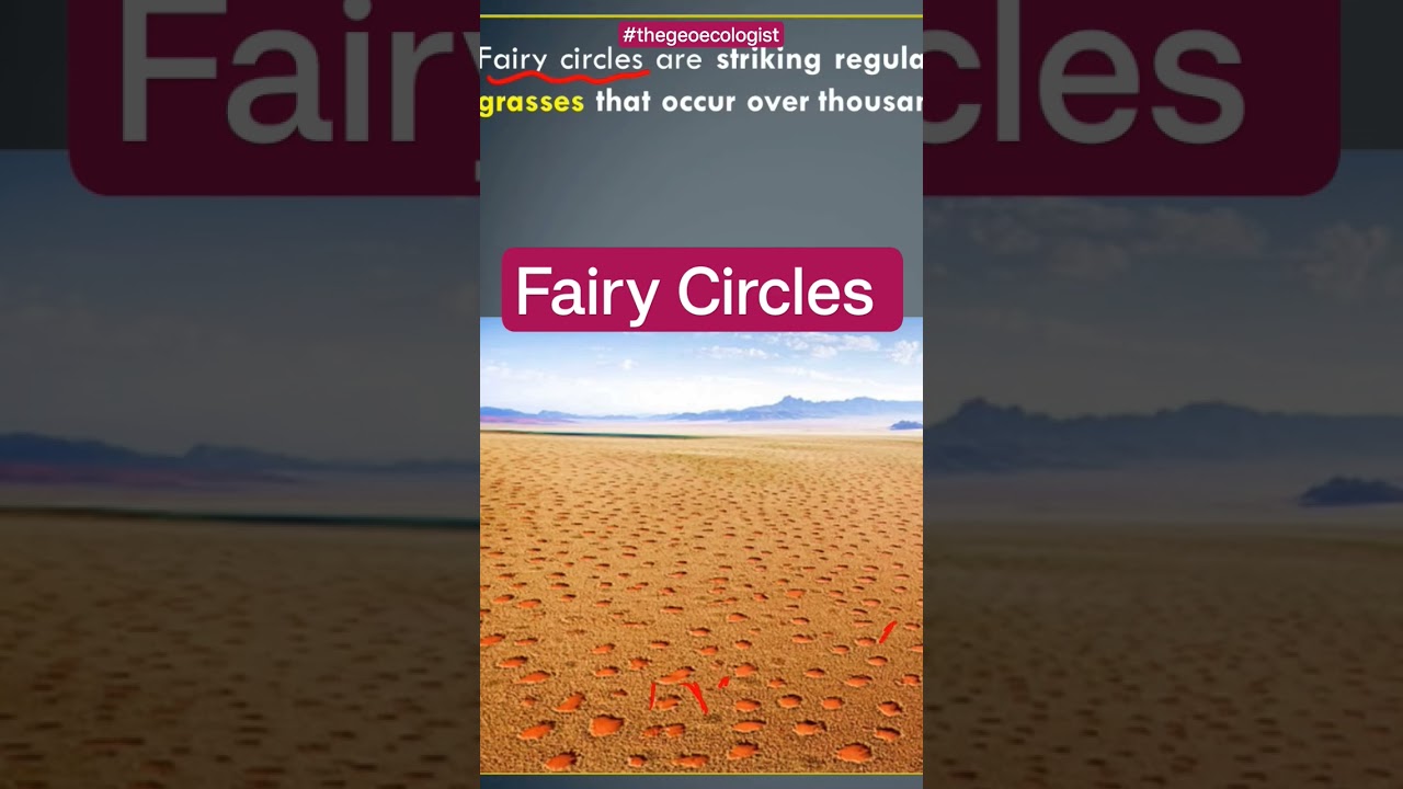 What are Fairy Circles- Namib Desert #viralvideo #upsc #shorts
