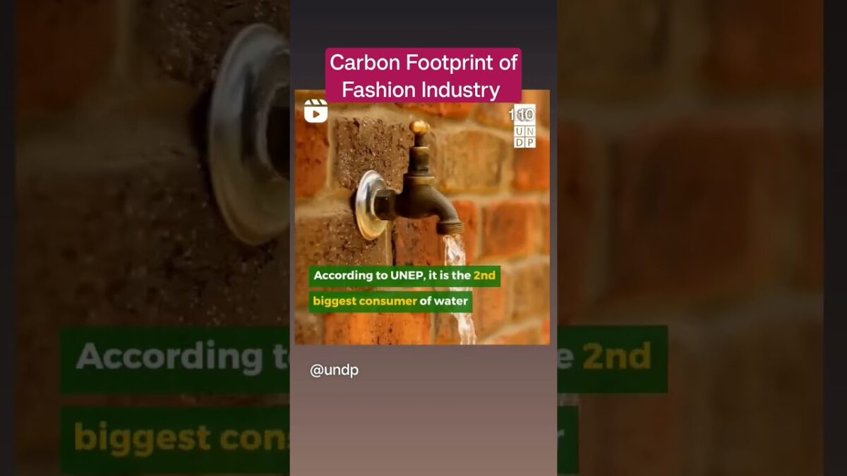 Carbon Footprint of Fashion Industry #thegeoecologist #viralvideo #upsc #shorts