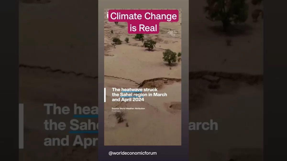 Climate Change is Real- Heat Waves in Sahel Region #heatwaves #shorts