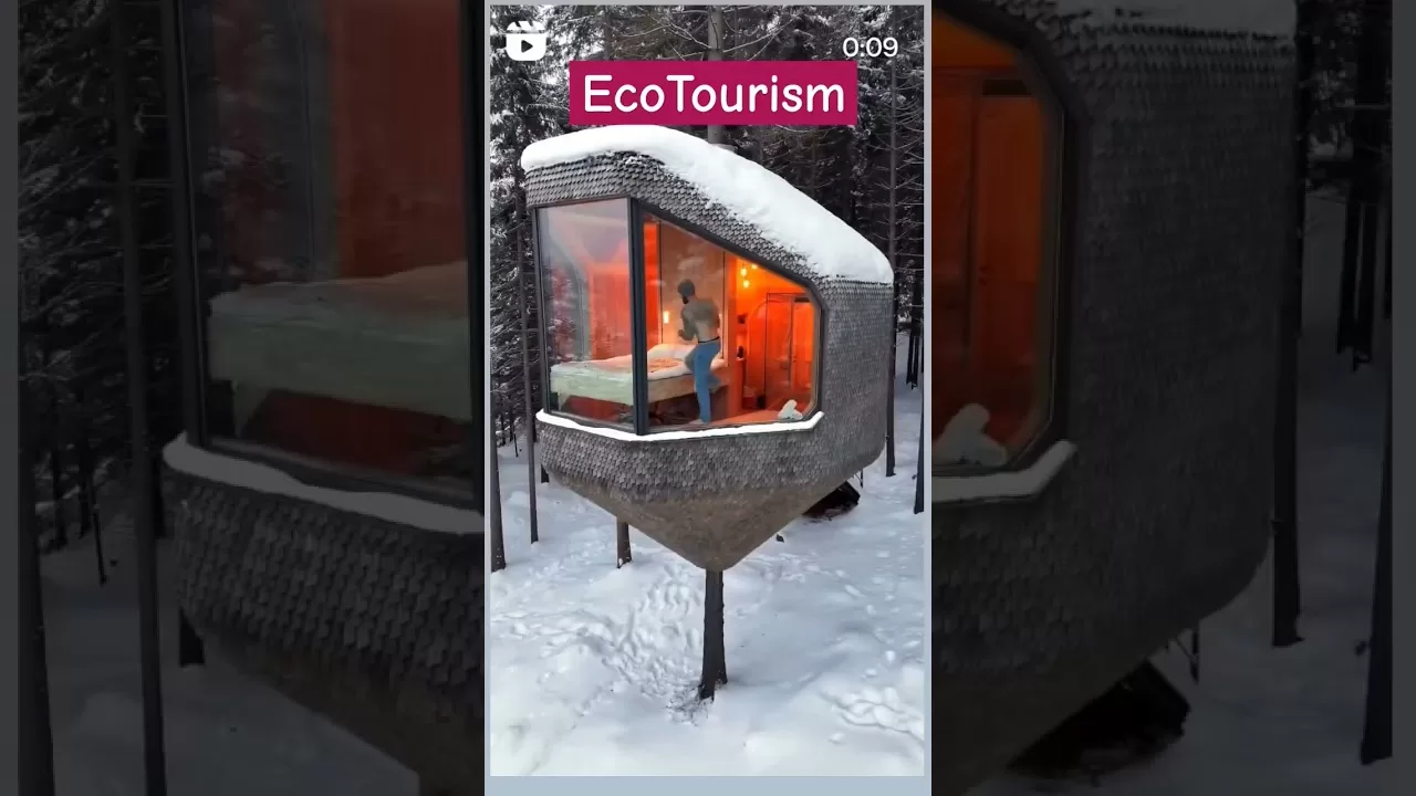 Ecotourism #norway #norwegian #treehouse #viral #shorts