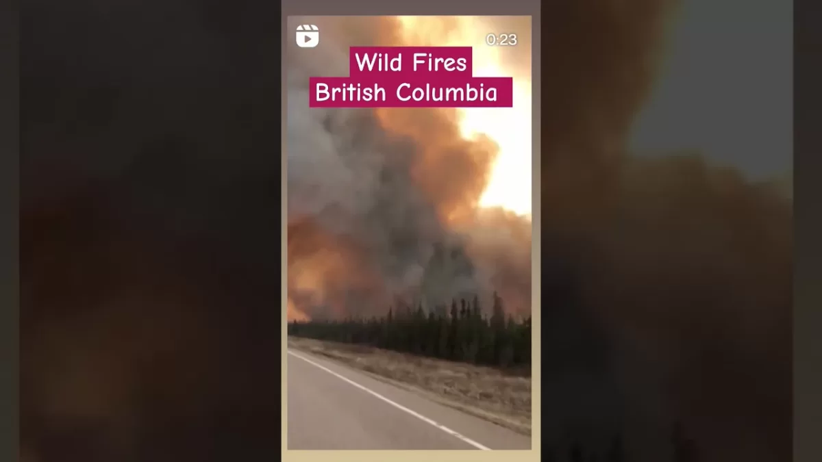 Wild Fires- Vancouver #britishcolumbia #viral #shorts