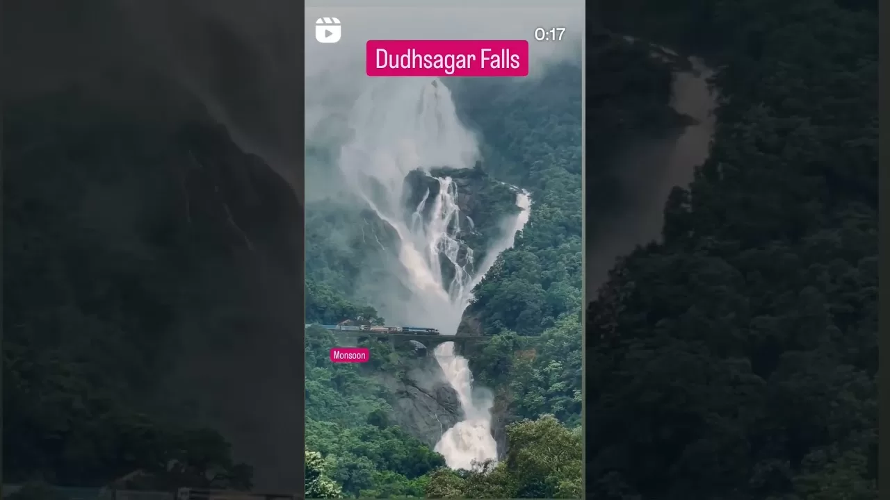 Dudhsagar Falls in Monsoon #dudhsagarwaterfalls #viral #shorts