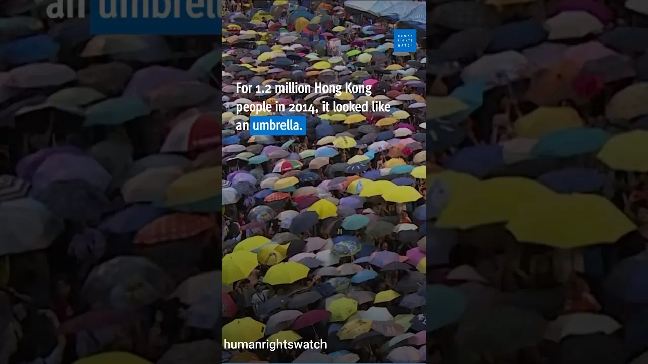 Umbrella Movement Hongkong #umbrella #humanrights #viralshorts #shorts