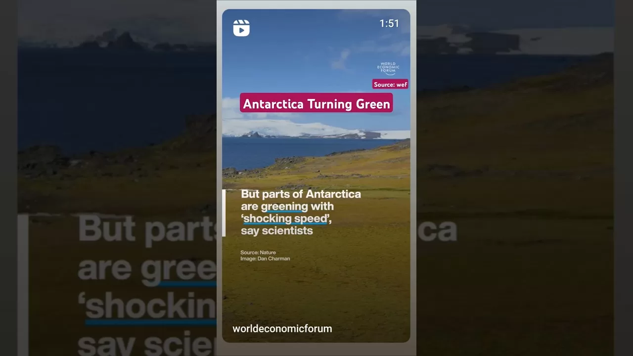 Antarctica Turning Green #climatechange #antarctica #shorts