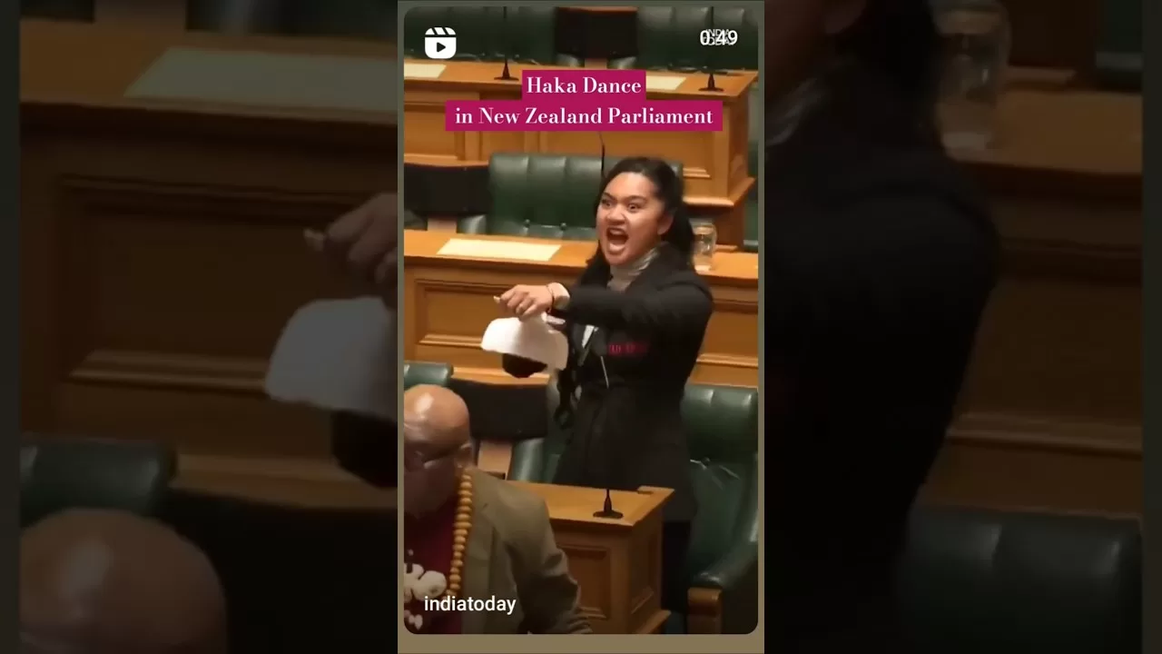 Haka Dance - New Zealand MP #hakadance #newzealand #parliament #viralshorts #shorts