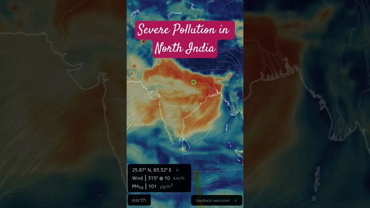 Severe Pollution across North India #delhipollution #healthemergency #viralvideo #shorts