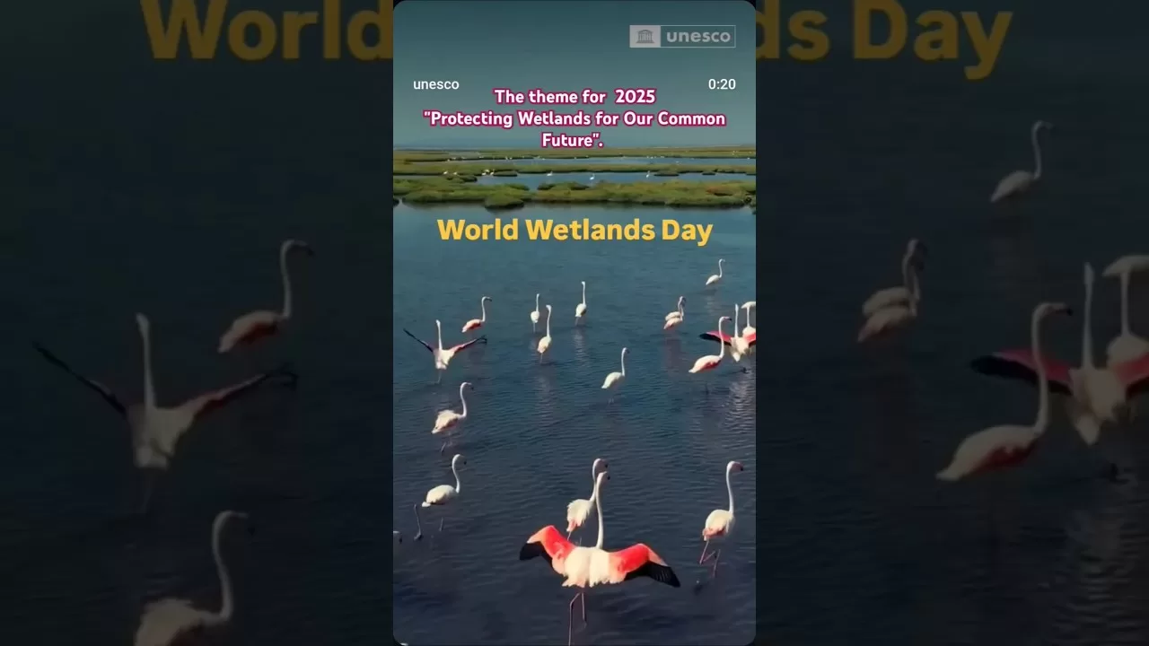 World Wetlands Day 2025 - Protecting Wetlands for our common future # ...